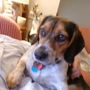 Meet your Posher, Brad